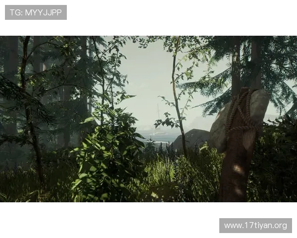 亚星游戏官网登录333账号登录指南，解决常见登录问题的方法